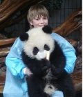 Image of Giant Panda