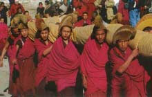 Airing of the Buddha at Drepung Monastery